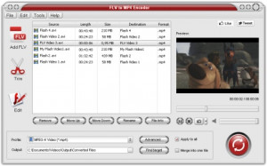 FLV to MP4 Encode - náhled
