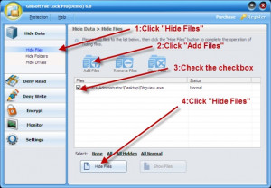 GiliSoft File Lock Pro - náhled