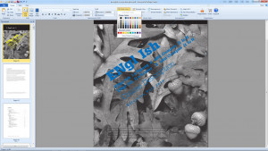 EximiousSoft ePage Creator - náhled