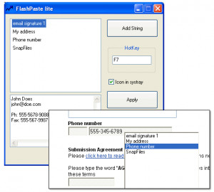 FlashPaste Lite - náhled