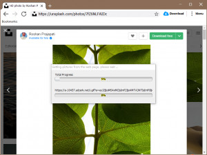 Conpsoft PhotoDownloader - náhled