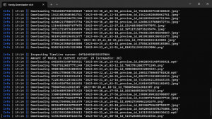 Fansly Downloader - náhled