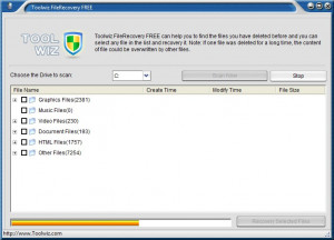 ToolWiz File Recovery - náhled