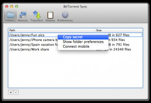 BitTorrent Sync - náhled