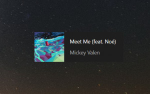 NowPlaying - náhled