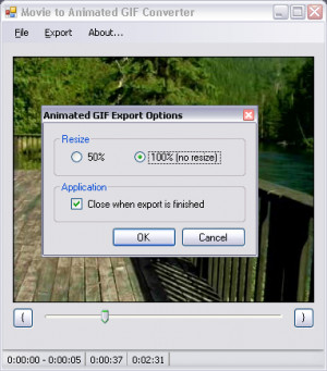 Movie to Animated GIF Converter - náhled