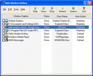 Hide Window Hotkey - náhled