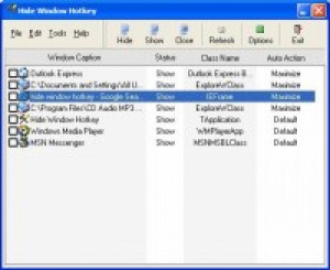 Hide Window Hotkey - náhled