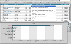 Network Probe - náhled