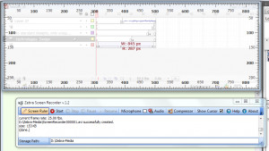 Zebra Screen Recorder - náhled