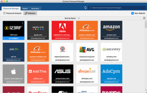 Cyclonis Password Manager - náhled