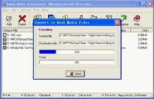 Easy Real Converter - náhled