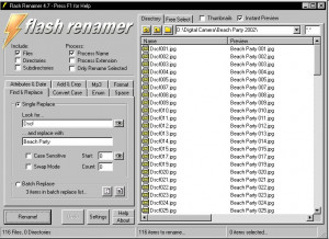 Flash Renamer - náhled