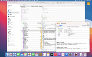 Script Debugger - náhled