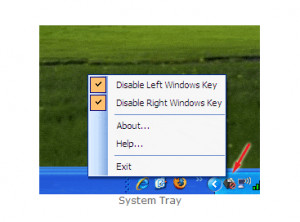 Easy WinKey Blocker - náhled