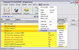 Company's Portal - náhled