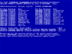BlueScreen - náhled