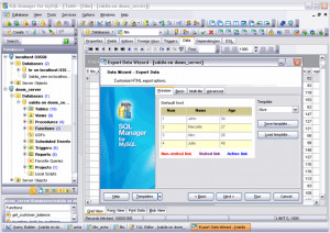 EMS SQL Manager Lite for SQL Server - náhled