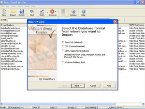 Smart Email Verifier - náhled