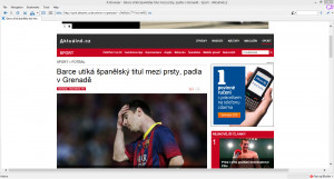 X-Browser - náhled