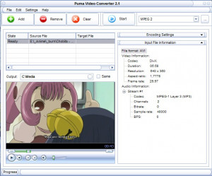 Puma Video Converter - náhled