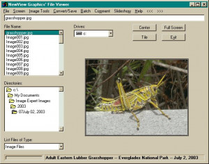 NewView Graphics' File Viewer - náhled