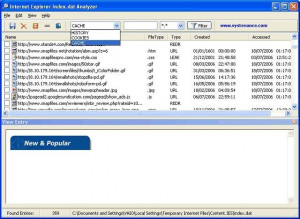 Index.dat Analyzer - náhled