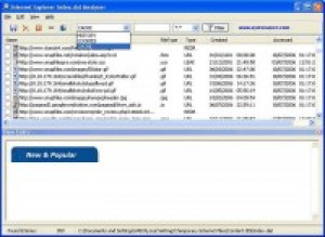 Index.dat Analyzer - náhled