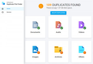 Ashampoo Duplicate File Finder - náhled
