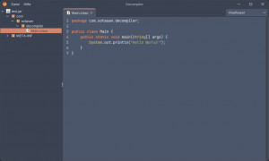 Decompiler - náhled