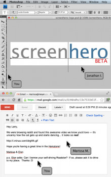 Screenhero - náhled