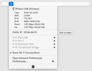 Ethernet Status - náhled