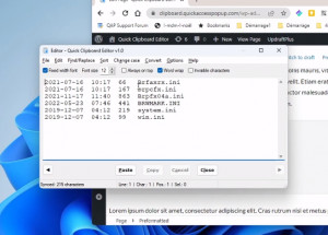 Quick Clipboard Editor - náhled