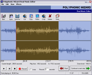 Polyphonic Wizard - náhled