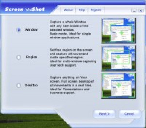 Screen VidShot - náhled