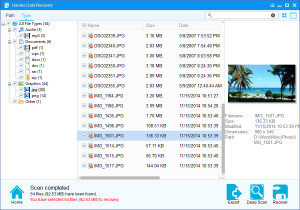 Hasleo Data Recovery - náhled