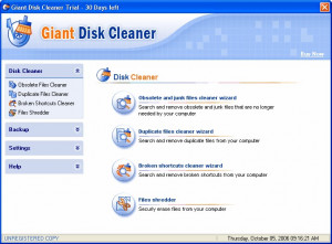 Giant Disk Cleaner - náhled