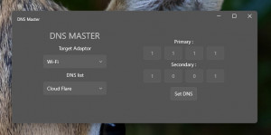 DNS Master - náhled