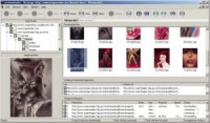 Picdownloader - náhled