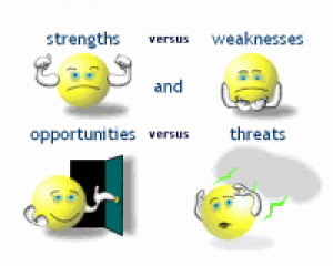 SWOT - náhled