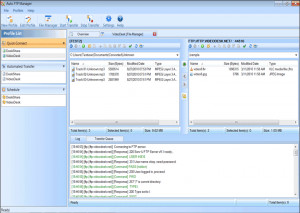 Auto FTP Manager - náhled