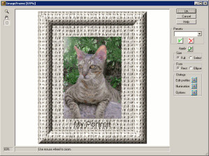 Image Frame - náhled