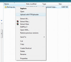 TMS FTP Uploader - náhled