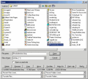 File-Ex - náhled