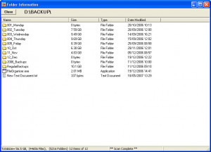 File Organiser - náhled