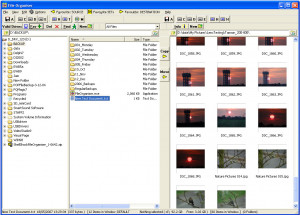 File Organiser - náhled