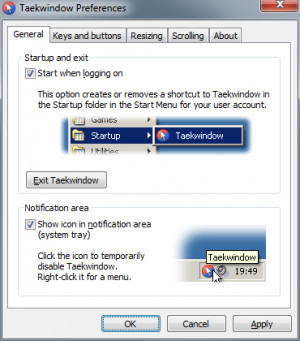 Taekwindow - náhled