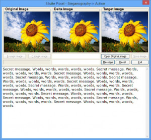 SSuite Picsel Security - náhled
