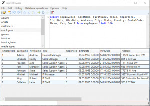 Sqlite Browser - náhled