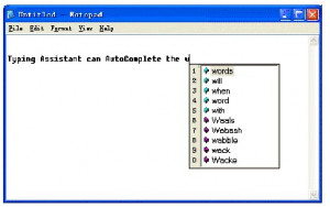 Typing Assistant - náhled